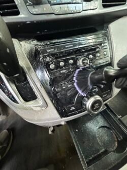 Upholstery and Carpet Cleaning
